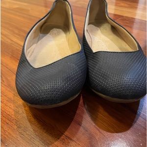 Navy naturalizer flat